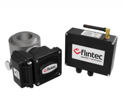 美国 Flintec